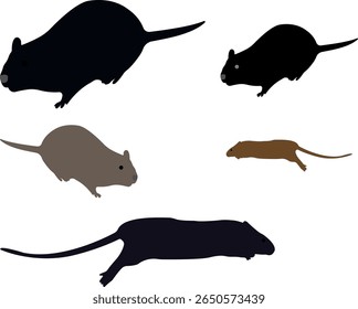 A rat character set features vector illustrations rats in playful, realistic,and cartoon styles—depicted standing, nibbling cheese running, interacting with objects. Ideal for educational content.