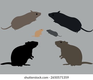 A rat character set includes vector illustrations of rats in various styles such as cartoon, silhouette, realistic, and playful poses,often shown eating cheese, sneaking, standing upright, or running.