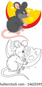Rat and cheese