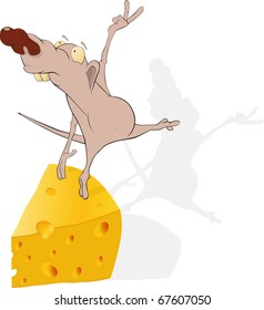 Rat, cheese and ballet