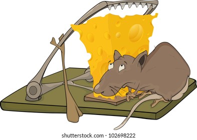 Rat cheese and a mousetrap