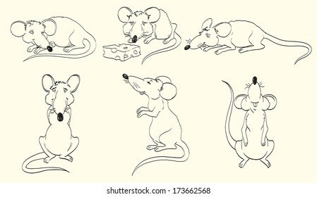rat and cheese. set of vector sketches
