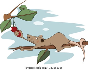 Rat and a cherry. Cartoon