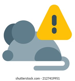 Rat containing a contagious disease virus disease