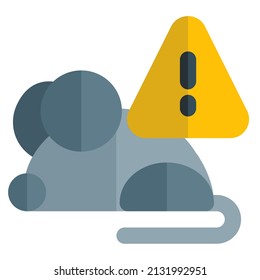 Rat containing a contagious disease virus disease