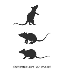 Rat cute Vector icon design illustration Template