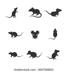 Rat cute Vector icon design illustration Template