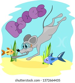 Rat diving with mask