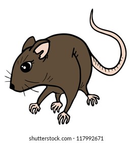 Rat draw