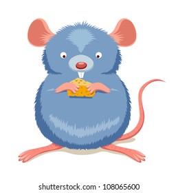 Rat eating cheese