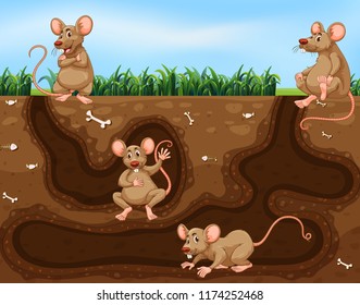 Rat family living underground illustration