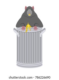 Rat in garbage can. Rodent in trash. big mouse in Dumpster. Vector illustration