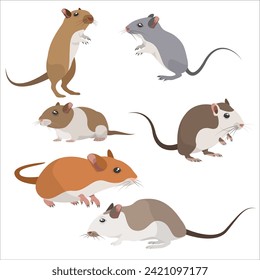  Rat hamster cute vector illustration animal rodents set