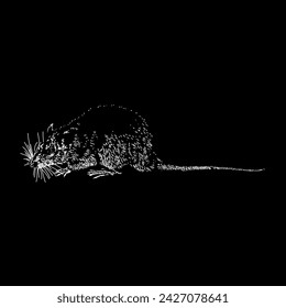 rat hand drawing vector isolated on black background.
