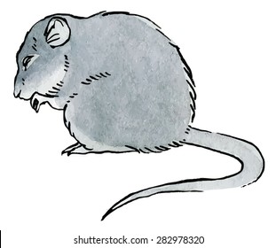 Rat  - hand drawing watercolor vector illustration