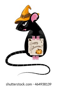 Rat in a hat with a piece of paper in his paws