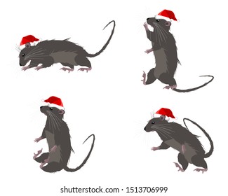 Rat in a hat symbol of 2020