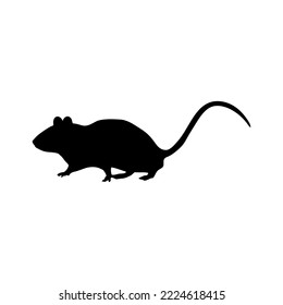 The rat icon. Black silhouette of a rat. A pet. A pest. Vector illustration isolated on a white background for design and web.