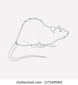 Rat icon line element. Vector illustration of rat icon line isolated on clean background for your web mobile app logo design.