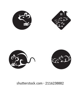 Rat icon and symbol vector illustration