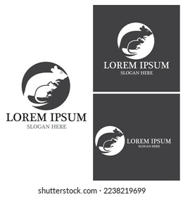 Rat icon and symbol vector illustration