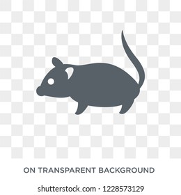 Rat icon. Trendy flat vector Rat icon on transparent background from animals collection. 
