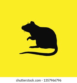 rat icon vector