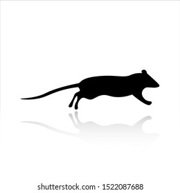 Rat icon vector design. Rat silhouette