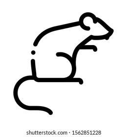 Rat Icon Vector Outline Rat Sign Stock Vector (royalty Free) 1562851228 