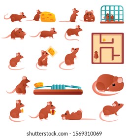 Rat icons set. Cartoon set of rat vector icons for web design