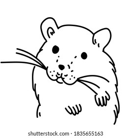 rat illustration line art black and white vector