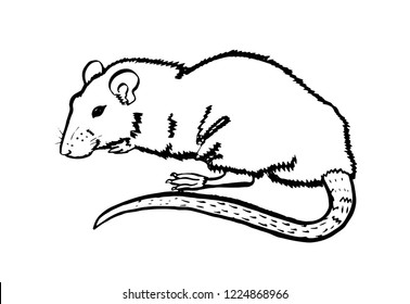 Rat Illustration Made Stain Ink Hand Stock Vector (Royalty Free ...