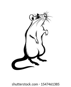 rat, isolated monochrome image, drawn with strokes. Symbol of the year 2020 according to the Chinese calendar