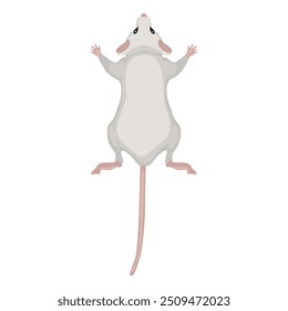 Ratte einzeln auf weißem Hintergrund. Rattenblick. Rattensymbol, Vektorgrafik. Flache Vektorgrafik. Maus