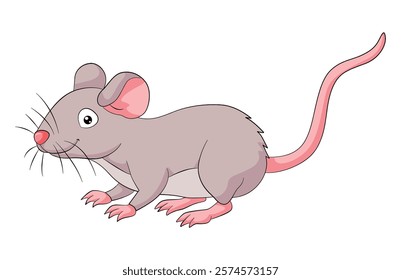 Rat isolated on white background