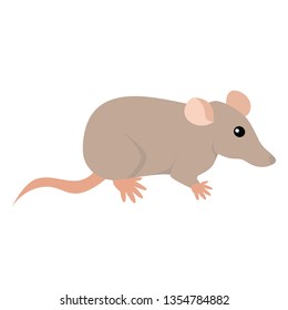 Rat Isolated Vector Illustration Stock Vector (Royalty Free) 1354784882 ...