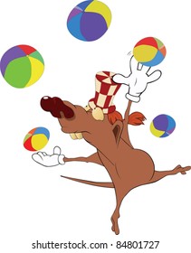Rat juggling