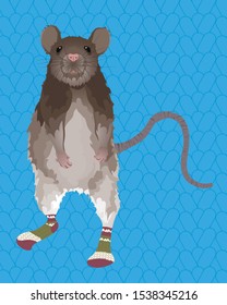 Rat in knitted socks. Blue knitted background. Mouse isolated cartoon character. Full-size standing mice.