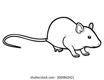 rat line vector illustration,
isolated on white background.top view