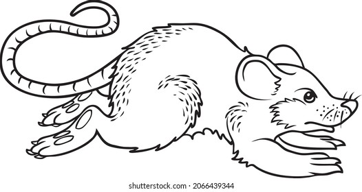 Rat  line vector illustration isolated on white background