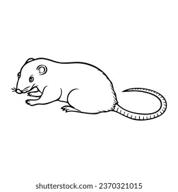 rat line vector illustration,isolated on white background,top view