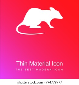 Rat Looking Right red and pink gradient material white icon minimal design