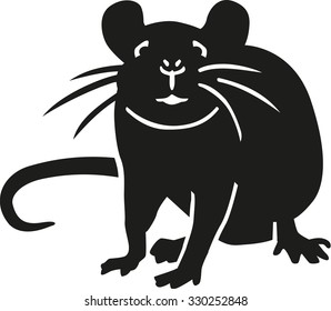 Rat looking at you