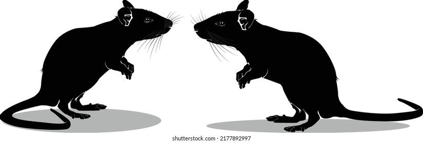 Rat or mouse alarm vector signal.The rat isolated can be fixed vector.