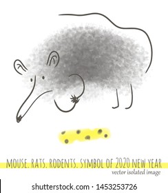 Rat, mouse, cheese. Animal symbol of 2020 new year. Drawn by hand in the style of the sketch. Isolated vector.