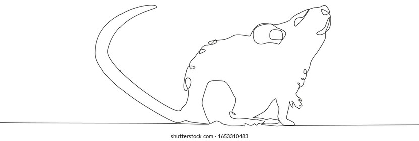 Rat mouse continuous line drawing. One hand drawn single lineart style. Minimalism with animal theme sign and symbol.