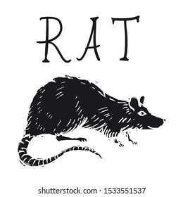 Rat or Mouse Hand Drawn on white background. Vector illustration