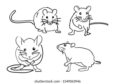 rat or mouse hand drawn symbol of the new year vector. line graphic drawing