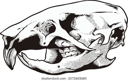 Rat Mouse Skull Digital Hand drawn Line art Sketch Vector illustration black and white