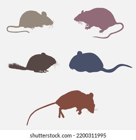 Rat, Mouse Wild Animal Colorful Icon Set